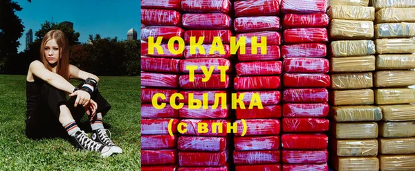 а пвп мука Надым