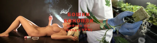 спайс Михайлов