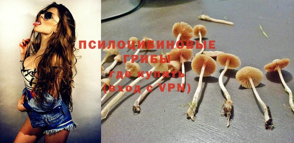 ALPHA PVP Михайловск