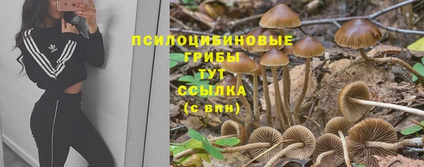 a pvp Наволоки