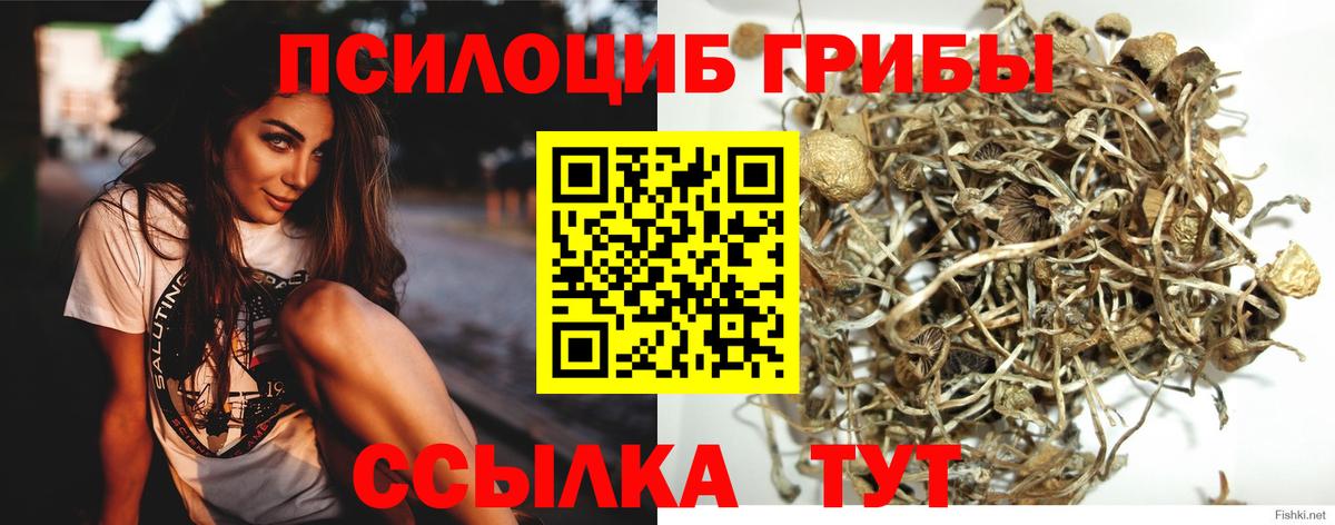 Галлюциногенные грибы Magic Shrooms Волжский