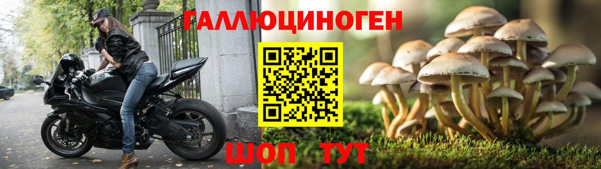 Волжский  Псилоцибиновые грибы прущие грибы  Галлюциногенные грибы Magic Shrooms  Вход с VPN 