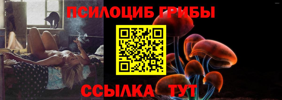 Галлюциногенные грибы мицелий Волжский